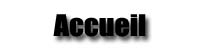 Page d’accueil du site